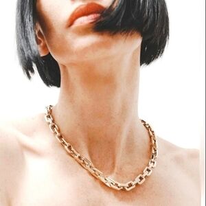 Eddie Borgo Supra Link Necklace -17 Inch Length.